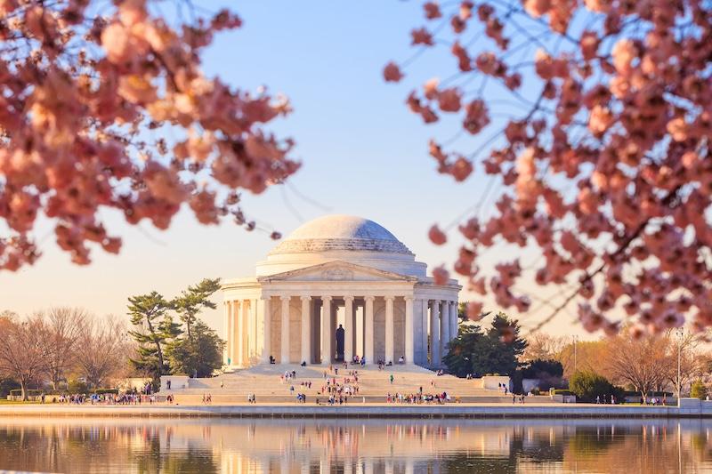 Cherry Blossom Time – Last Call / 6 Seats Left